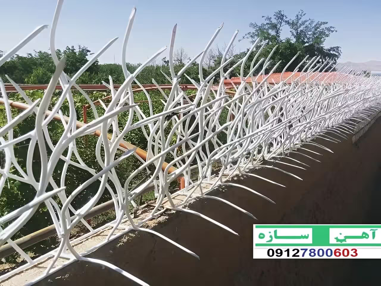 حفاظ نرده هزینه ساخت نصب شاخ گوزنی لیلیوم بوته خار دیوار