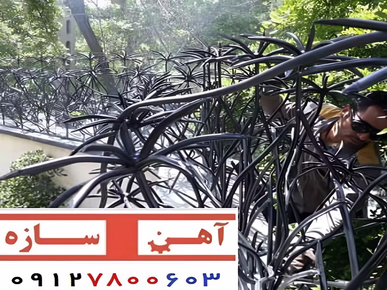 حفاظ نخل مرداب