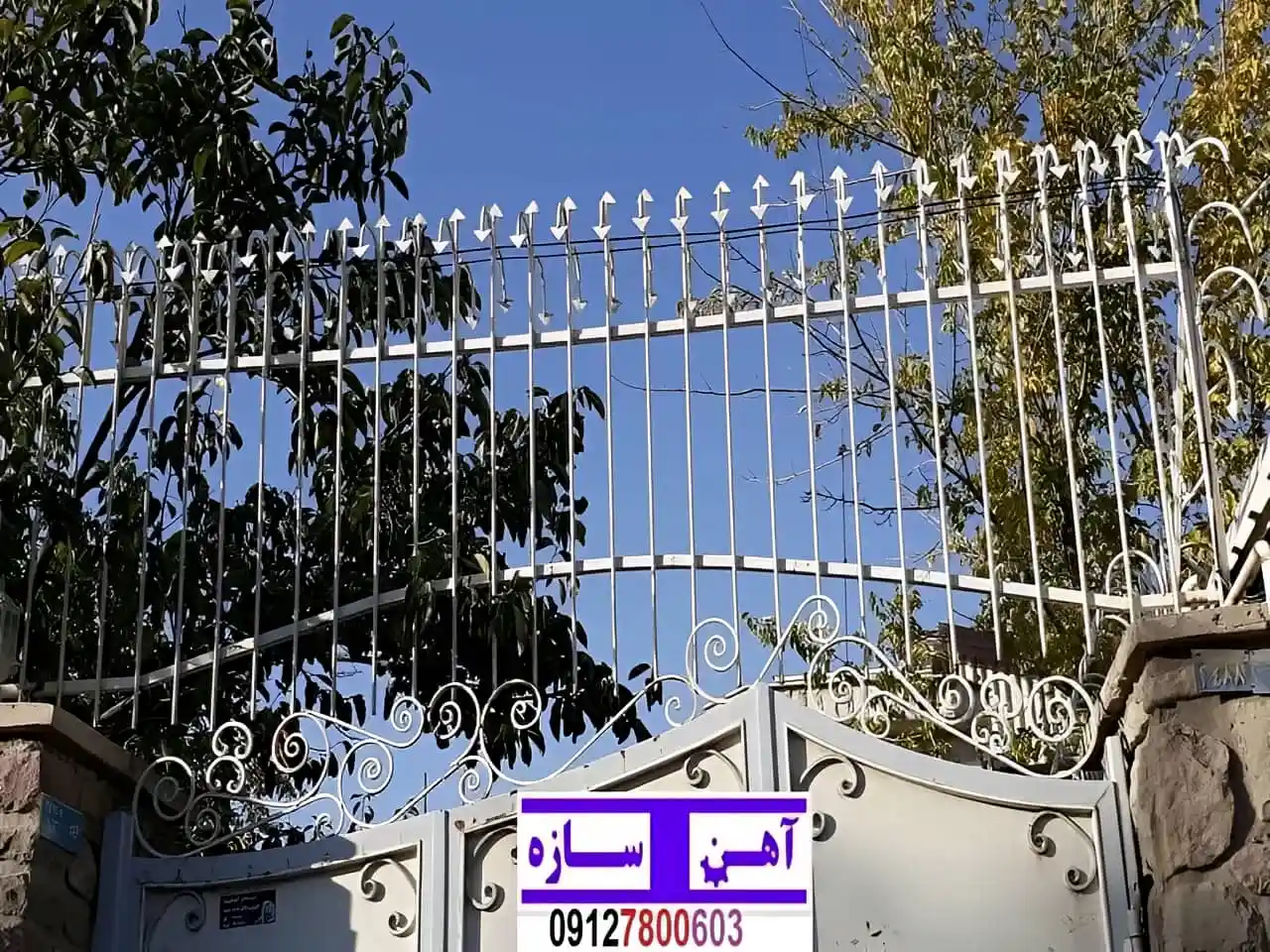 نرده حفاظ دیوار ساختمان شاخ گوزنی بوته ای لیلیوم