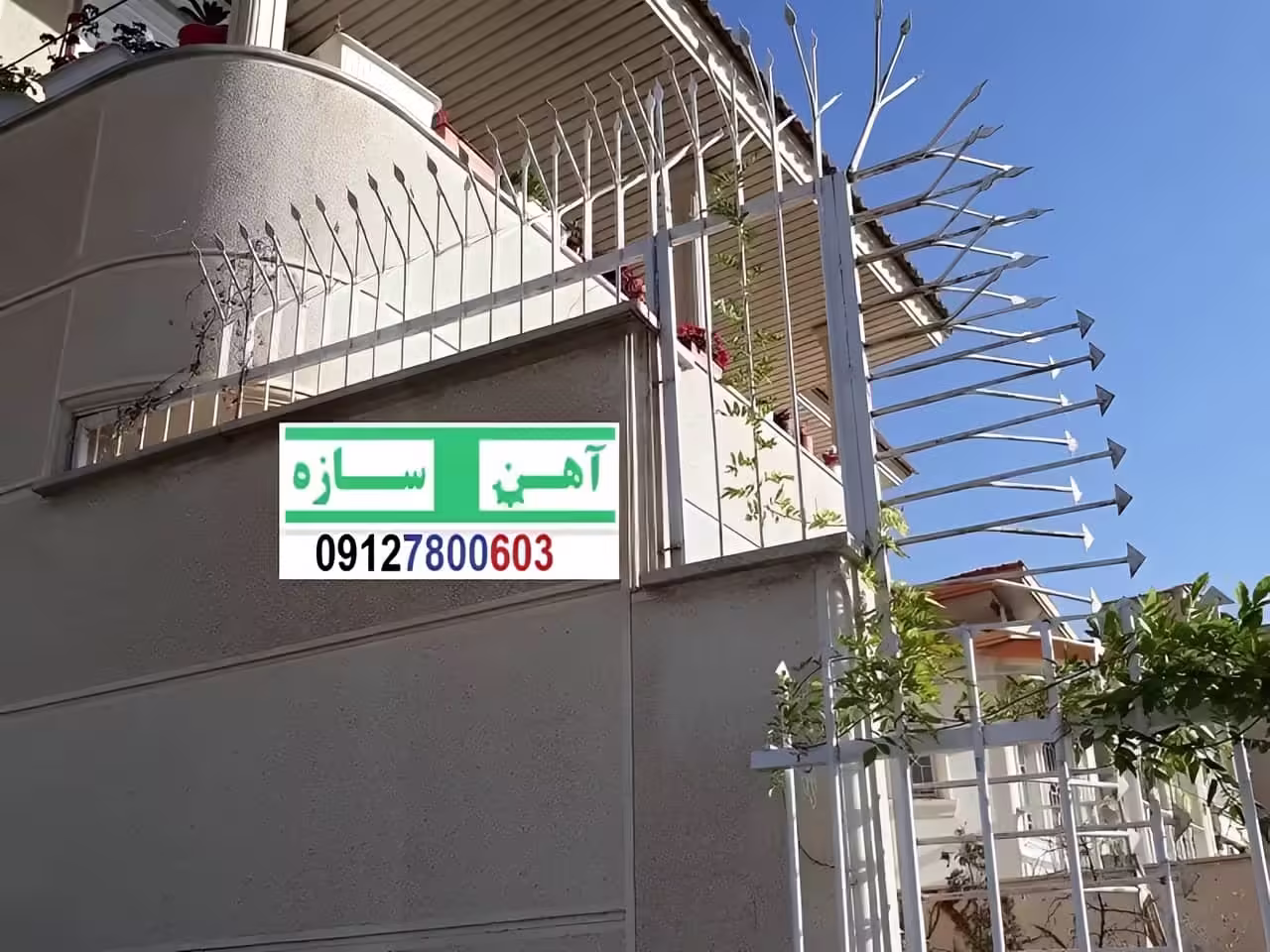 نرده حفاظ دیوار ساختمان شاخ گوزنی بوته ای لیلیوم