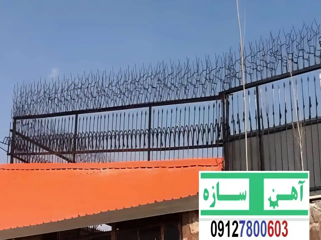 نرده حفاظ دیوار ساختمان شاخ گوزنی بوته ای لیلیوم