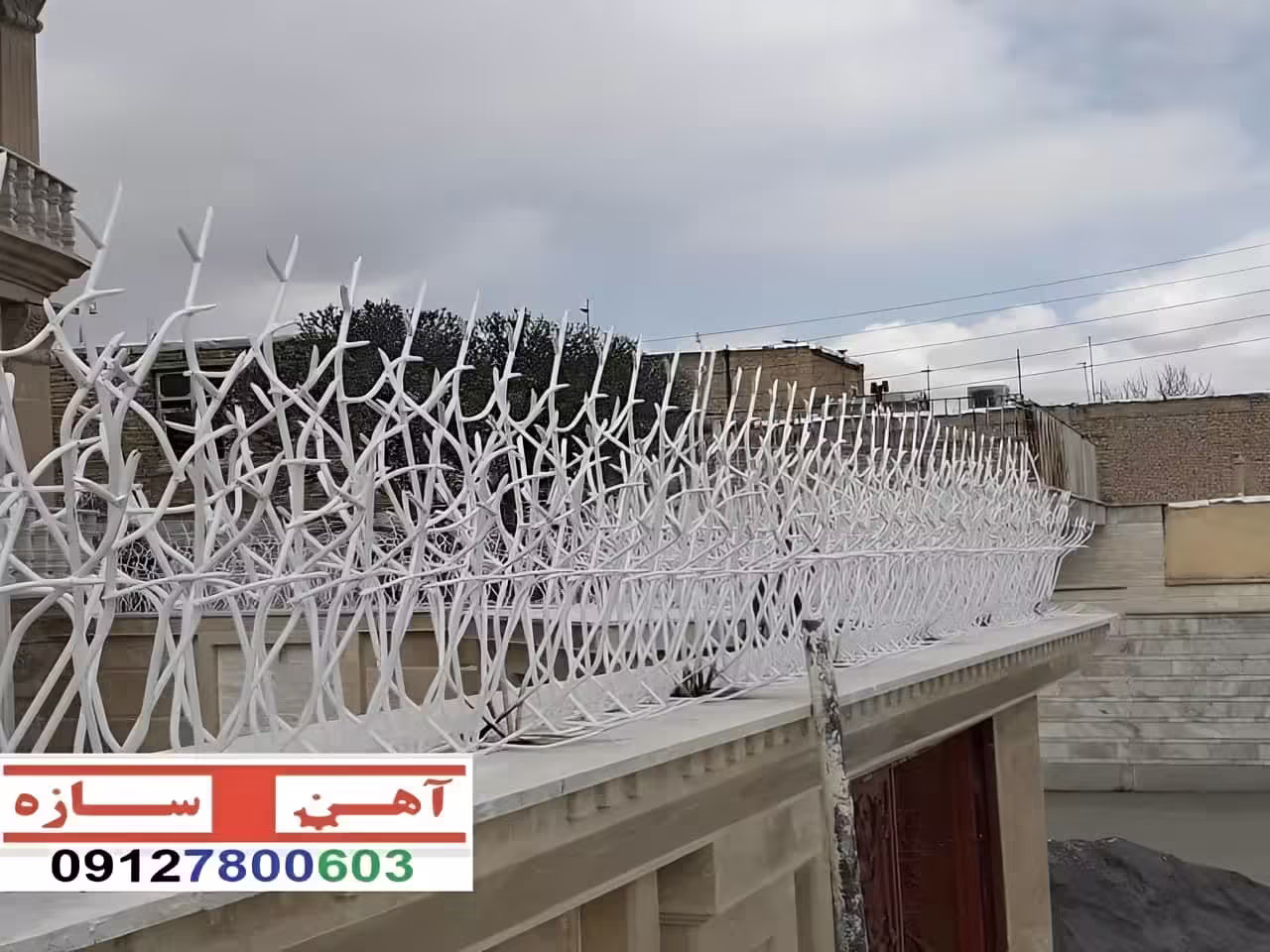 حفاظ شاخ گوزنی از چه زمانی بوجود آمد