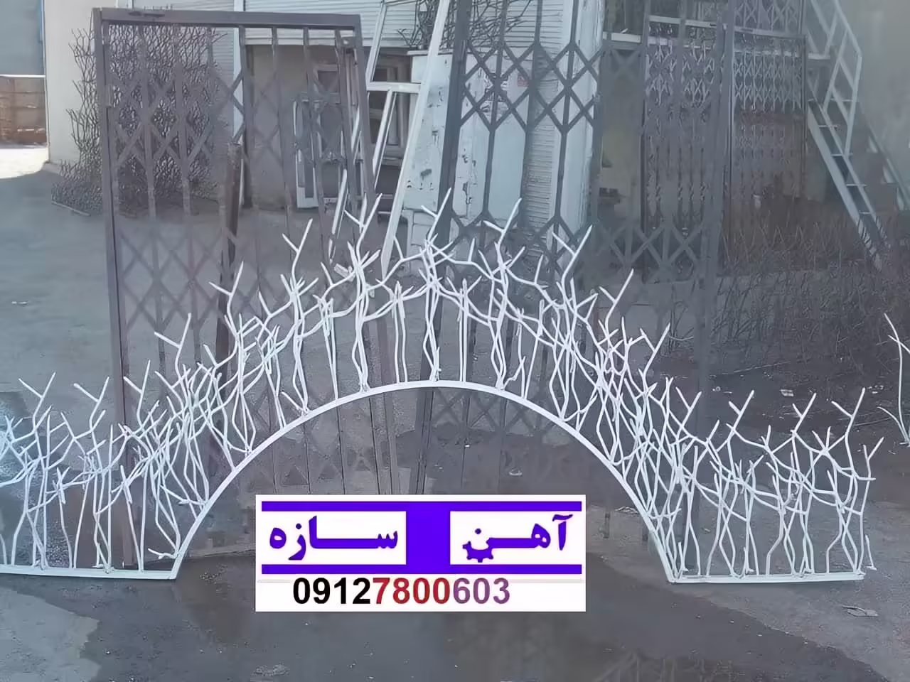 قیمت خرید حفاظ شاخ گوزنی حفاظ بوته ای خار حفاظ لیلیوم