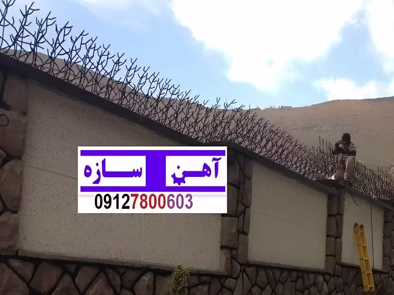 قیمت خرید حفاظ شاخ گوزنی حفاظ بوته ای خار حفاظ لیلیوم
