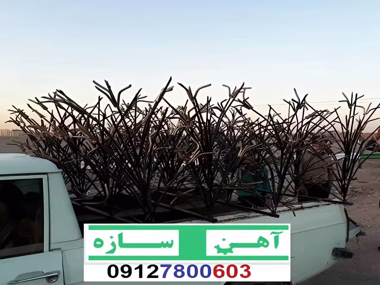 قیمت خرید حفاظ شاخ گوزنی حفاظ بوته ای خار حفاظ لیلیوم