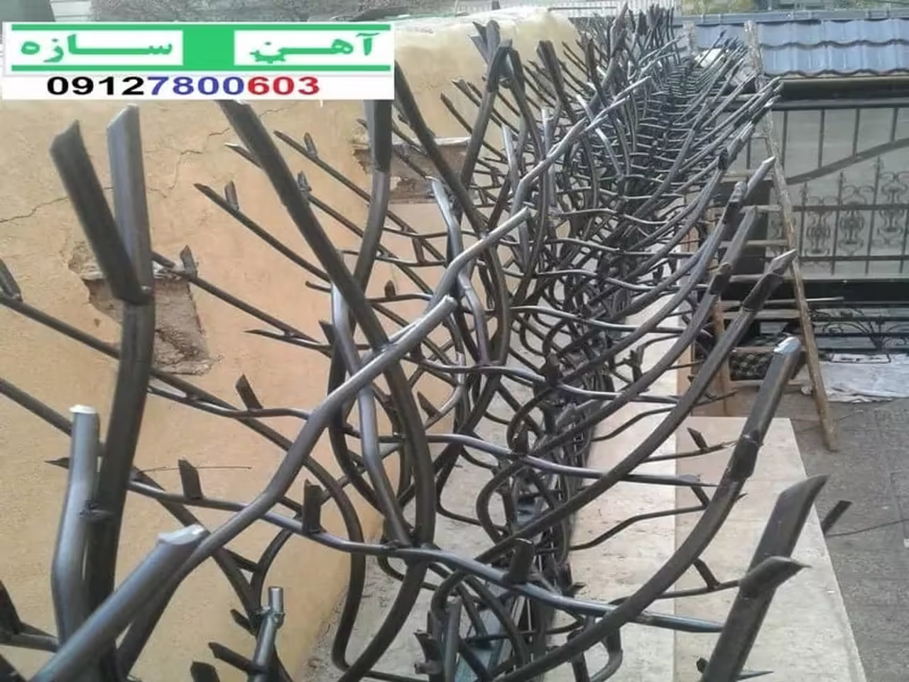 قیمت خرید حفاظ شاخ گوزنی حفاظ بوته ای خار حفاظ لیلیوم