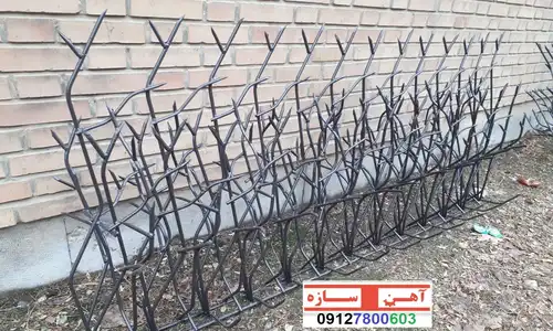 حفاظ شاخ گوزنی بوته ای گارد آهنی روی دیوار در ایزدشهر