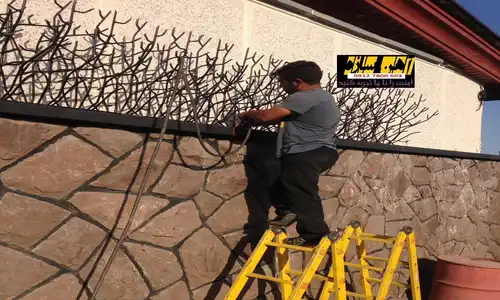 فنس حفاظ روی دیوار شاخ گوزن بوته خار لیلیومی