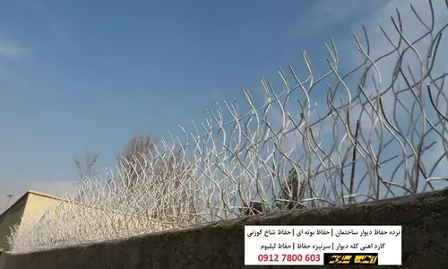 نصب انواع حفاظ دیوار در شرق تهران شاخ گوزنی نیزه ای لیلیوم