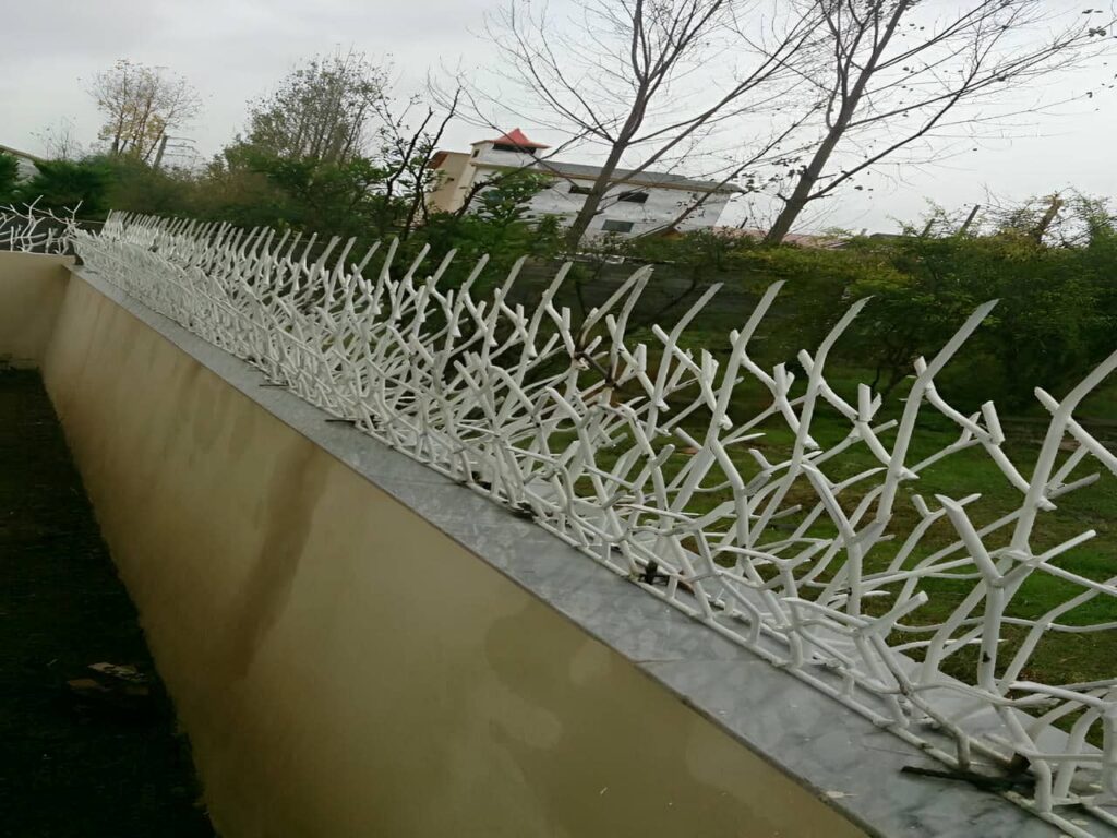 حفاظ شاخ گوزنی کرج