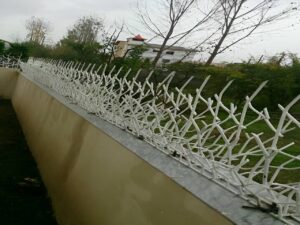 حفاظ شاخ گوزنی کرج