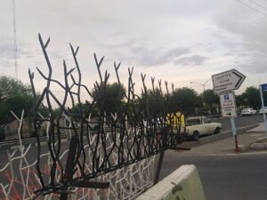 بهترین حفاظ شاخ گوزنی کدام است