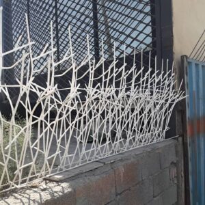 نصب حفاظ شاخ گوزنی