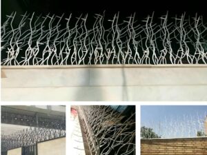 تفاوت حفاظ شاخ گوزنی و حفاظ بوته ای