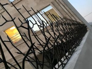 امنیت حفاظ شاخ گوزنی