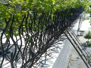 حفاظ شاخ گوزنی برای حیاط و باغ