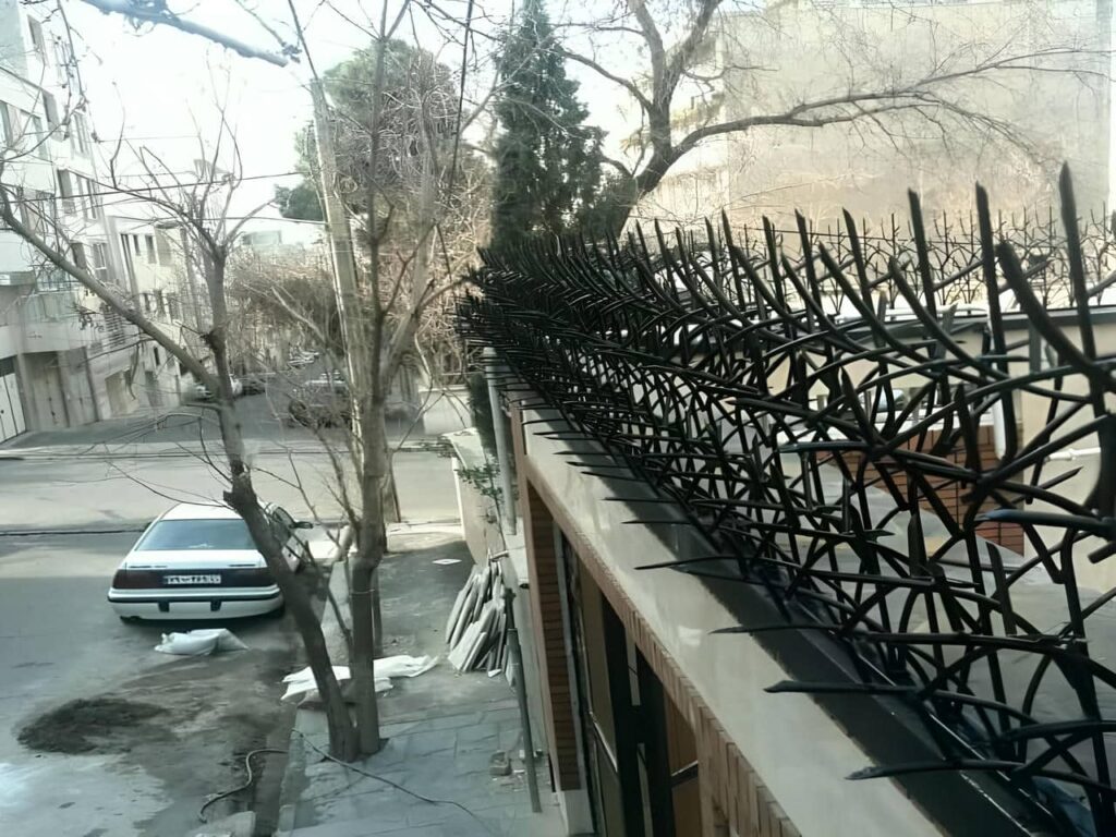 حفاظ شاخ گوزنی در معماری مدرن