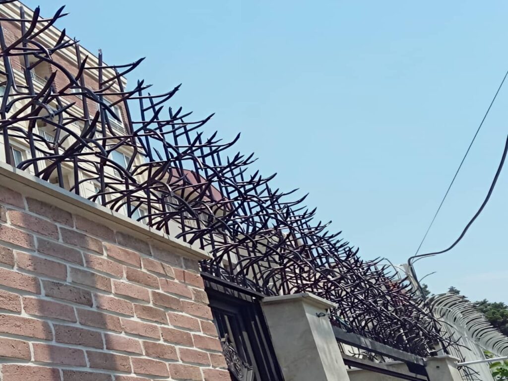 نصب حفاظ سردیواری شاخگوزنی