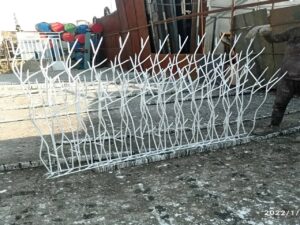 مشخصات حفاظ شاخ گوزنی دیوار