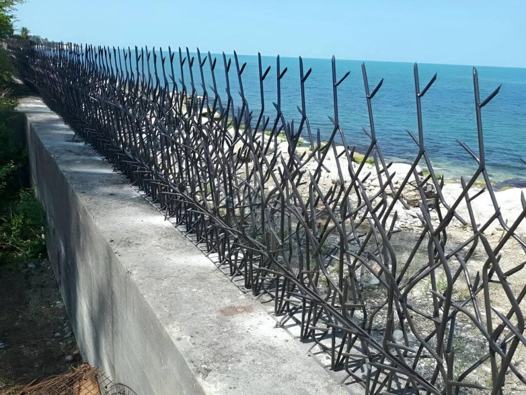 گارد حفاظ شاخ گوزنی کله دیوار