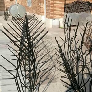 سفارش خرید انواع حفاظ شاخ گوزنی چگونه است؟