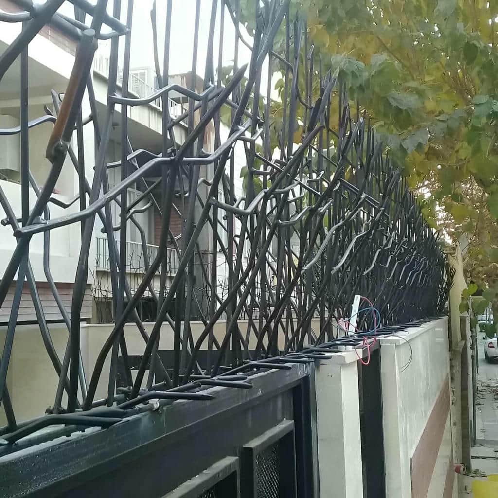 حفاظ شاخ گوزنی در فردیس کرج