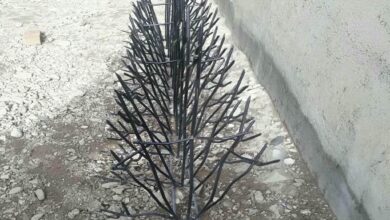 fence-wall-protection-deer-antler-spear-alj