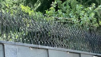 fence-wall-protection-deer-antler-spear-aob