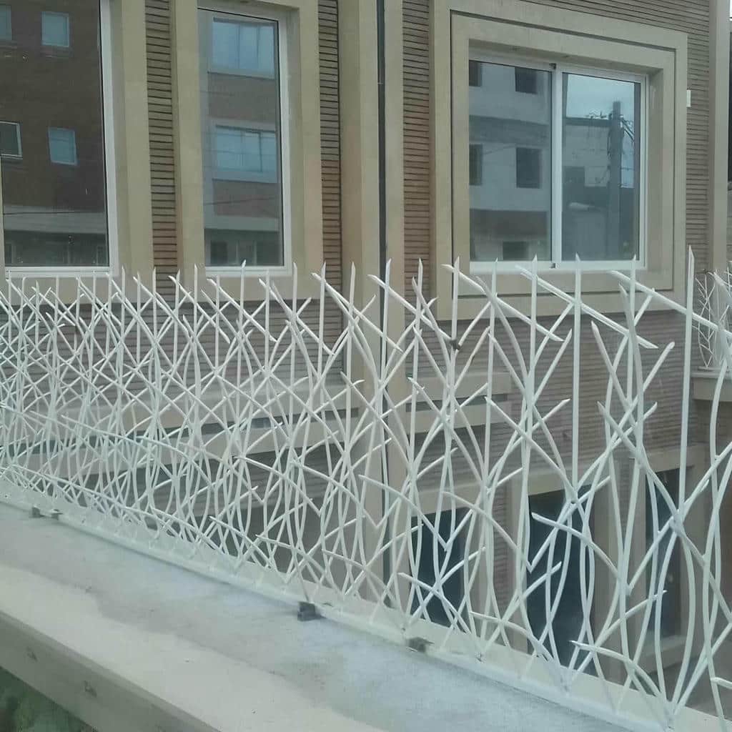 حفاظ شاخ گوزنی در عظیمیه کرج