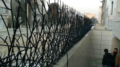 fence-wall-protection-deer-antler-spear-tn