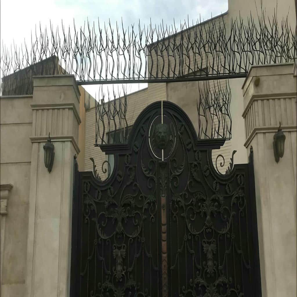 حفاظ شاخ گوزنی با ارتفاع متناسب دیوار