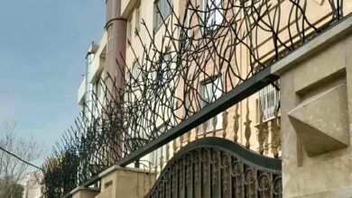 حفاظ شاخ بزی دیوار آهنی