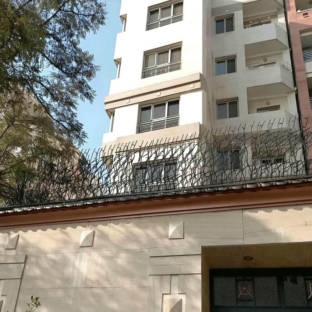حفاظ دیوار با برش دقیق سرشاخه ها