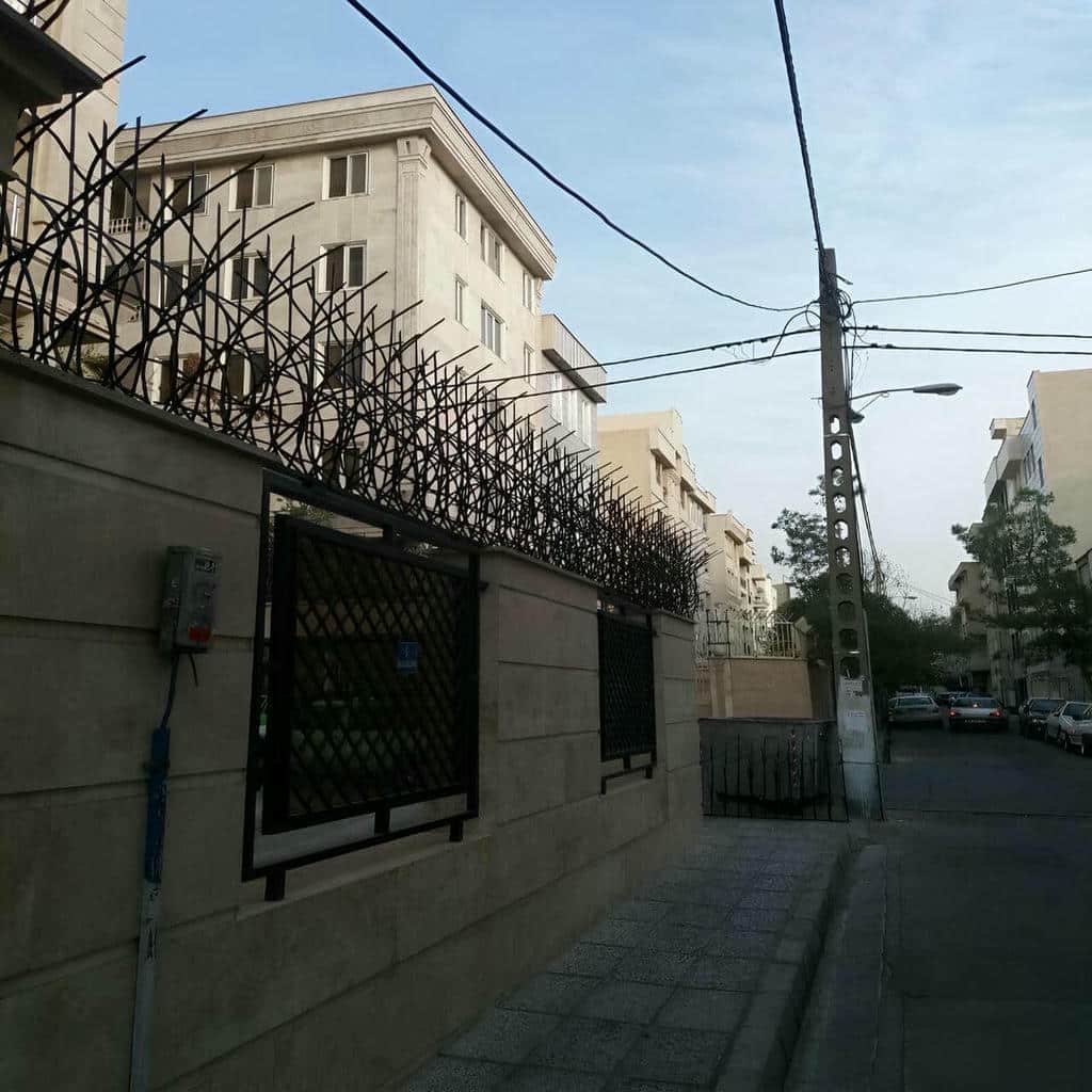 حفاظ دیوار با طراحی بازدارنده شاخه ها