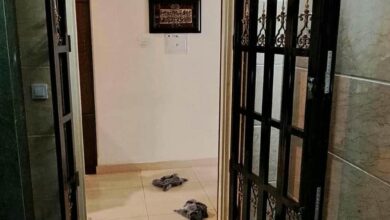 سفارش و خرید مطمئن حفاظ درب آپارتمان