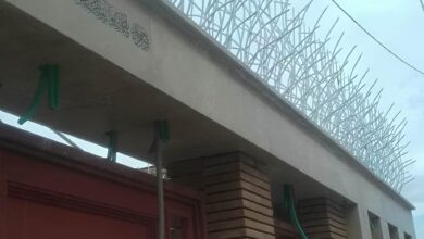 حفاظ بوته‌ای جنگلی خاردار