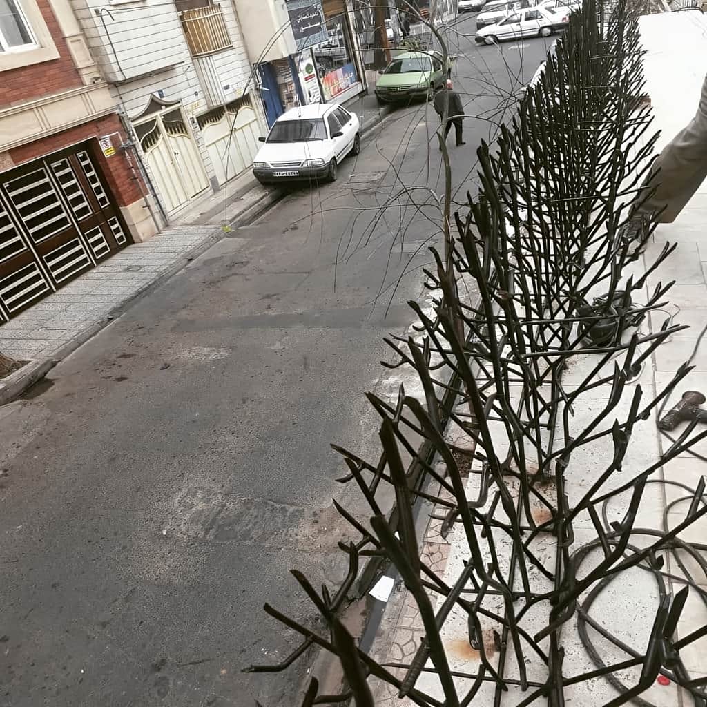 حفاظ بوته ای مناسب بازسازی نمای ساختمان قدیمی