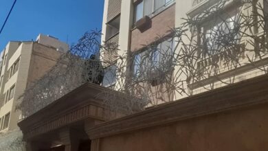 حفاظ نخل مرداب فلزی با پوشش مقاوم برای دیوار