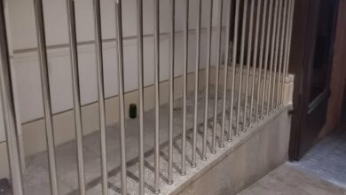حفاظ بالکن فلزی با پوشش رنگ کوره ای مقاوم در فضای باز