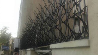 حفاظ نیزار فلزی با شاخه های متراکم برای دیوار نوساز